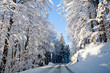 Winter, Straße