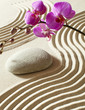 massage zen relaxation femininity