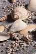 Strand und See