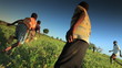 Children playing soccer on the fields in Africa.