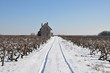 chemin blanc 7