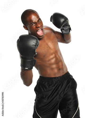 Photo: African American Boxer African American Boxer
