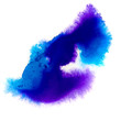 blue purple macro spot blotch texture isolated on a white backgr