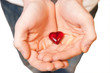 rotes Herz in der Hand