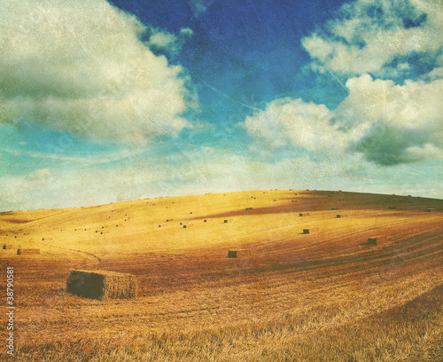 Foto: retro harvest retro harvest