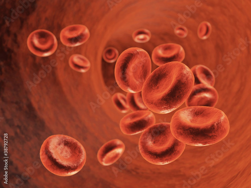 Illustration: Blood flow - Red blood cells Blood flow - Red blood cells