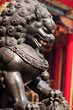 Bronze lion in chinese temple Bronze lion in chinese temple