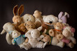Foto: Kuscheltiere Kuscheltiere