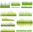 Herbe