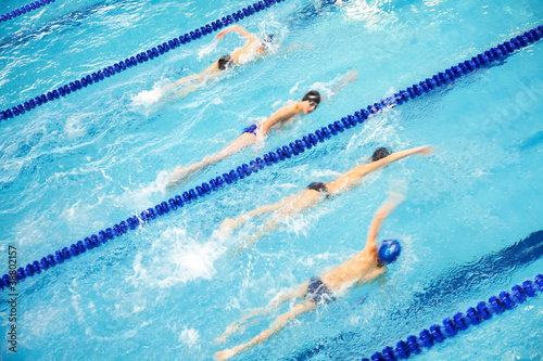 Photo: Competitive Swimming Competitive Swimming
