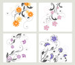 set of floral decoration on white background