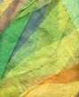 Tende colorate