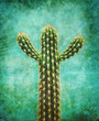 cactus print