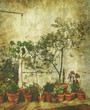 old plant pots