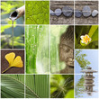 Collage Bouddha zen nature verte