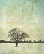 faded winter scene