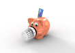 Energiesparschwein