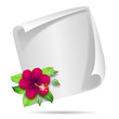 papier - hibiscus