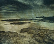vintage shoreline