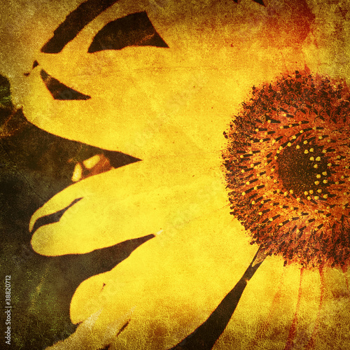 Photo: vintage sunflower photo vintage sunflower photo