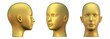 Gold head in three projections