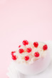 Cream Dessert with currants