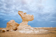 The limestone formation rocks in the White Desert, Egypt The limestone formation rocks in the White Desert, Egypt