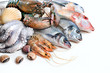 Fresh catch of fish and other seafood