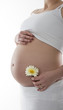 Babybauch