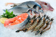 Seafood On Ice