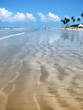 Porto de Galinhas, Brazil: gorgeous dreamy tropical beach.