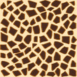Giraffe pattern