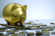 Pig piggy bank