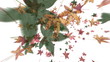 Autumn Leaves Falling (Vortex Animation)