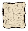 Old treasure map with burned edges. Old treasure map with burned edges.