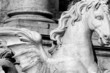 Trevi Fountain Detail