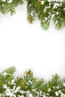 Christmas framework with snow Christmas framework with snow
