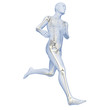 Laufender Mann Silhouette mit Skelett