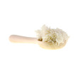 cooked rice on a wooden spoon cooked rice on a wooden spoon