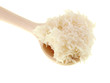 cooked rice on a wooden spoon cooked rice on a wooden spoon