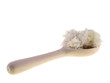 cooked rice on a wooden spoon cooked rice on a wooden spoon