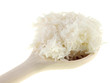 cooked rice on a wooden spoon cooked rice on a wooden spoon