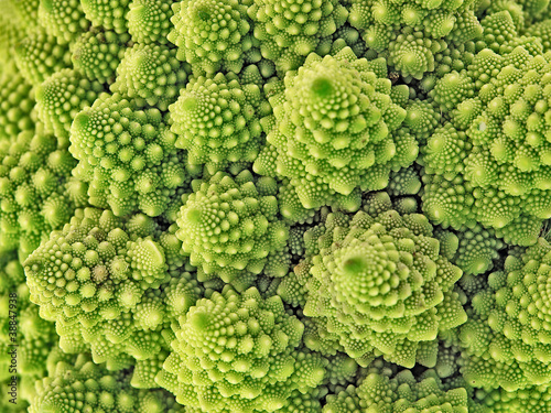 Photo: romanesco romanesco