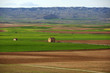 campo de belchite