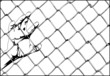 wire fence hands
