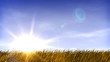 Summertime Field of Grass and Sunset