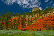 Devil's Tower