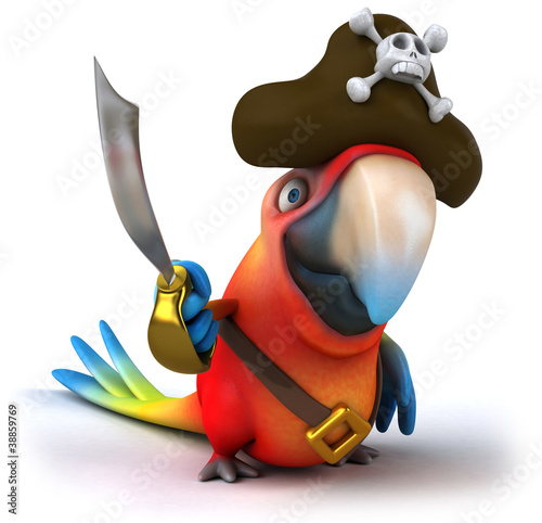Illustration: Perroquet pirate Perroquet pirate