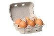Eggs on White