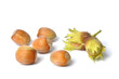 Hazelnuts on White